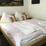 Guest house Na Solne Stezce 3*