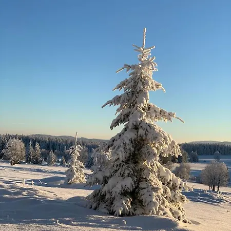 Penzion Na Solné Stezce 3*