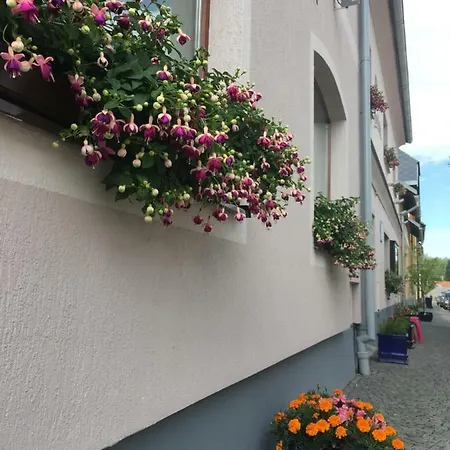 Guest house Na Solne Stezce
