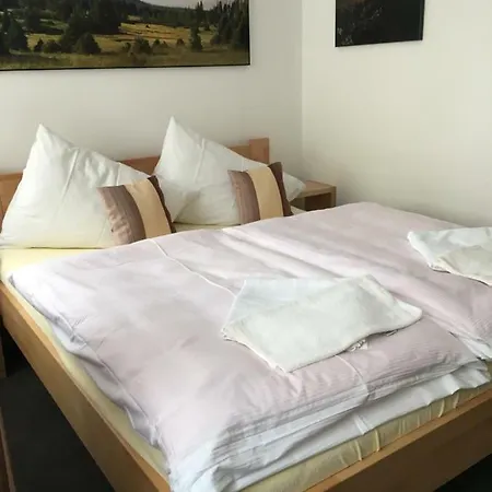 Guest house Na Solne Stezce 3*