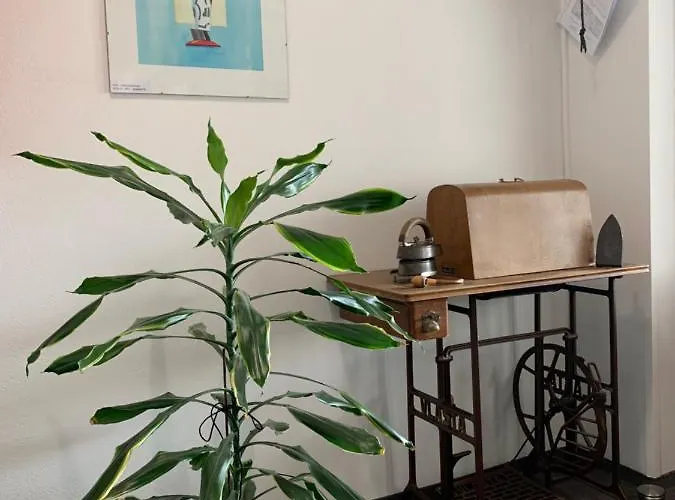 Na Solne Stezce 招待所 卡什佩尔斯凯霍里