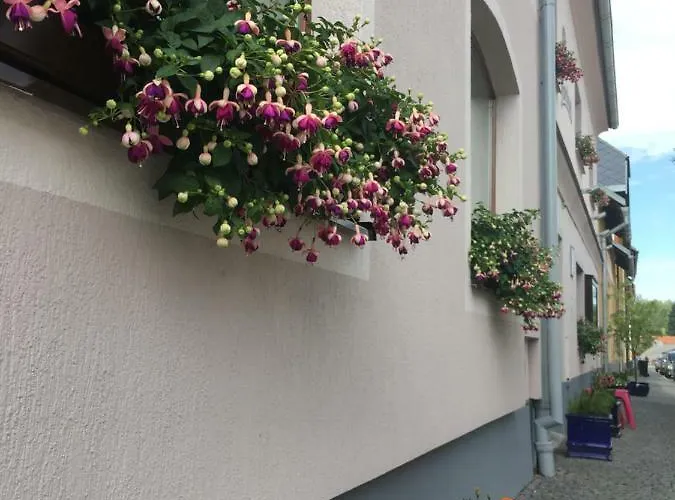 Pensión Na Solné Stezce